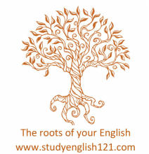 www.studyenglish121.com